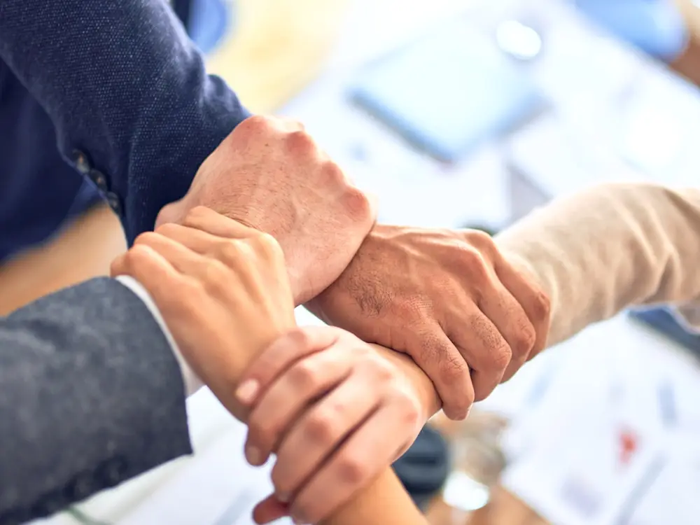 Join the Nicco team — view open roles